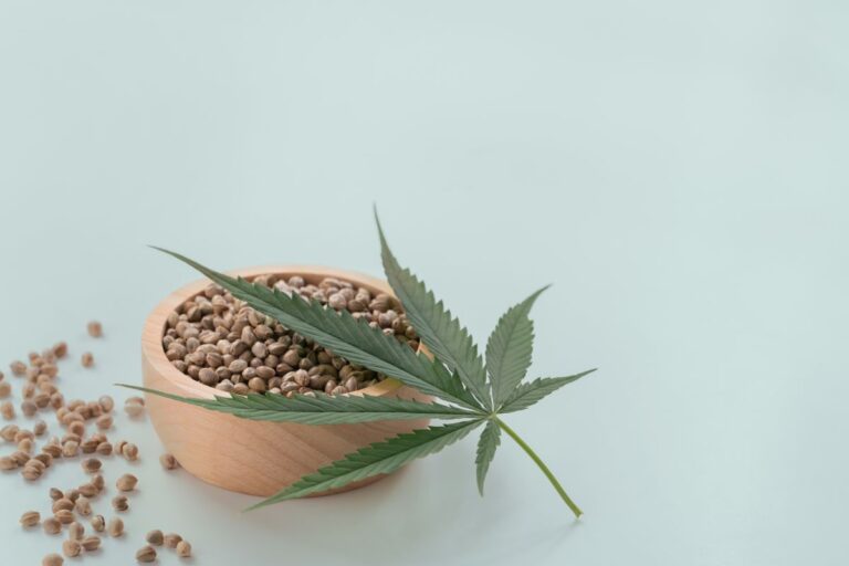 Jak porównać nasiona marihuany pod kątem zawartości kannabinoidów?