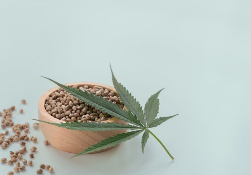 Jak porównać nasiona marihuany pod kątem zawartości kannabinoidów?